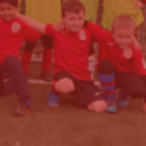 Mini Colts Thumbnail