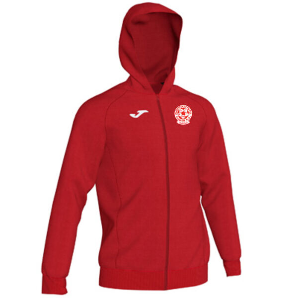 Player Hoodie (Youth) Thumbnail